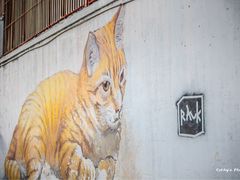 -槟城街头艺术街区