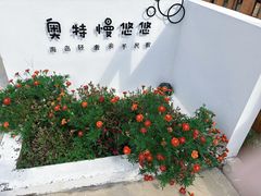 -广鹿岛