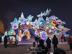-淄博花灯齐彩城