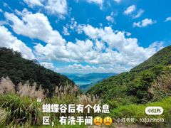 -梧桐山风景名胜区