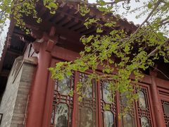 -元大都城垣遗址公园