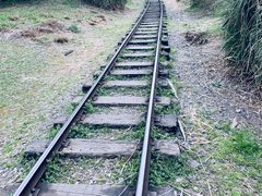 -自然谷恐龙园