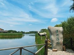 -溱湖国家湿地公园