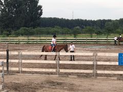 -月河湾马术俱乐部(朝阳店)