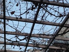 -春晖园度假酒店温泉