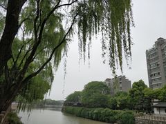 -天目湖山水园