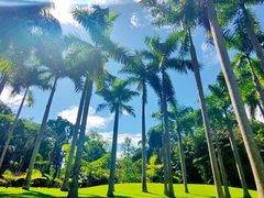 -中国科学院西双版纳热带植物园