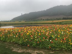 -径山花海
