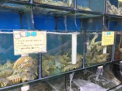 -蚝专家(北滘店)