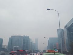 -霸王虾·小龙虾香辣蟹(玉林店)