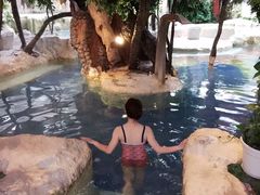 -中铁花水湾温泉酒店(大邑店)