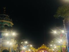 -常州环球恐龙城维景国际大酒店