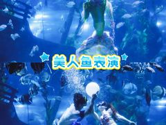 -南昌海洋公园