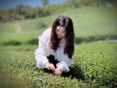 -优游吧斯邹族文化部落