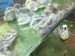 -四海鲜渔家菜(黄金海岸店)