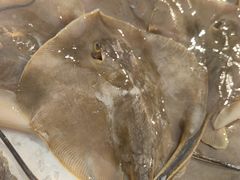 -胖大嫂渔家排档·全海景餐厅(渔村店)