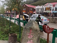 -关山草原