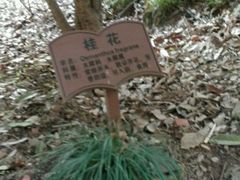 -上海佘山国家森林公园西佘山园