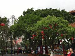 -珠海圆明新园