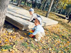 -羊亭河湿地公园