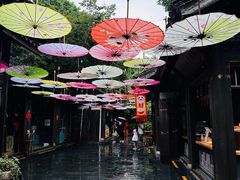 -天目湖山水园