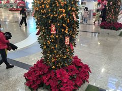 -厦门高崎国际机场-T3航站楼