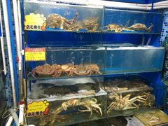 -蚝专家(北滘店)