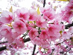 -白塘生态植物园