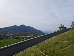 -江南天池