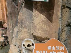 -正佳雨林生态植物园