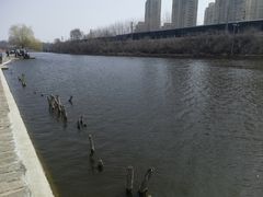 -前关湿地公园