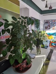 -风云专祛痘全国连锁机构