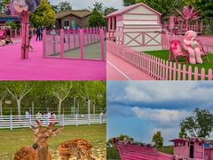 -渔岛海洋度假区