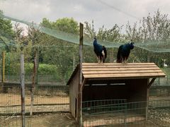 -武汉紫薇都市田园