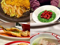 -圆苑(静安寺店)