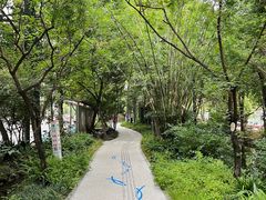 -成都市活水公园