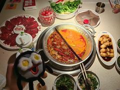 -小龙坎火锅(全球旗舰店)