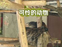 -呀诺达热带雨林