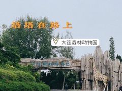 -大连森林动物园