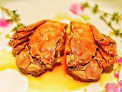 -新光酒家·河豚·海鲜·蟹料理(浦东店)
