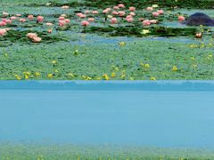 -苏州吴中太湖旅游区