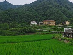 -后柳水乡