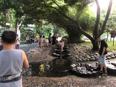 -成都市活水公园