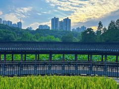 -龙头寺公园