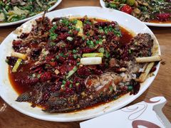 -功夫兔