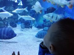 -成都浩海立方海洋公园