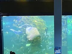 -洛阳龙门海洋馆