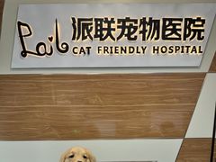-派联宠物医院·24h·CT·异宠
