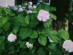 -南京工程学院(江宁校区)