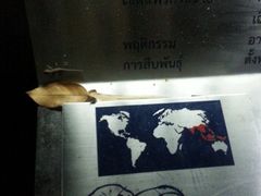 -清迈夜间动物园